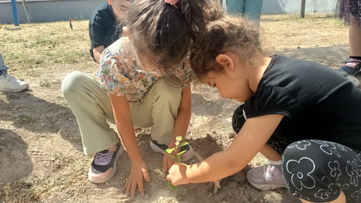 Her Çocuk Bir Fidan, İlk Ders Yeşil Vatan